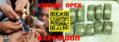 сатива Бийск