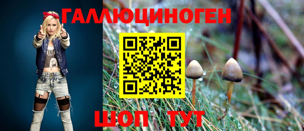 Псилоцибиновые грибы мухоморы  Вход с VPN  Выкса  где найти   Галлюциногенные грибы Magic Shrooms 